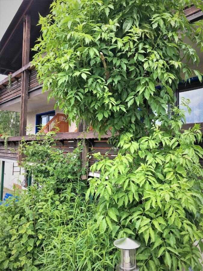 Antjes Schmankerlhotel Und Restaurant Affittacamere